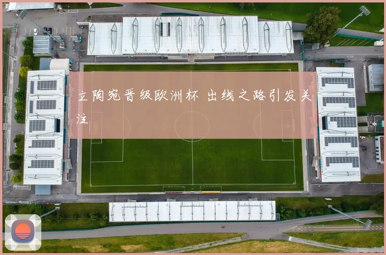 立陶宛晋级欧洲杯 出线之路引发关注