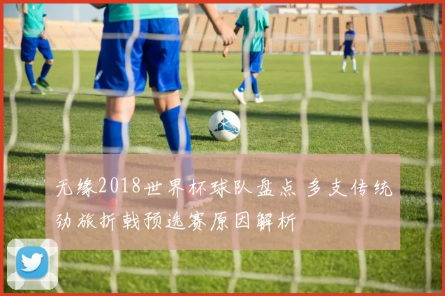 无缘2018世界杯球队盘点 多支传统劲旅折戟预选赛原因解析