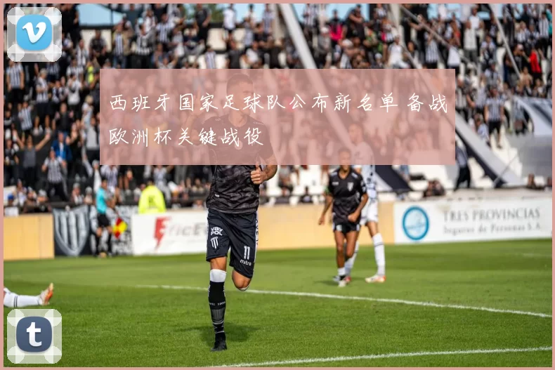 西班牙国家足球队公布新名单 备战欧洲杯关键战役